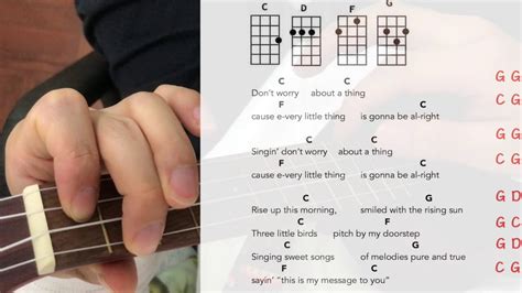 ukulele play along easy|More.